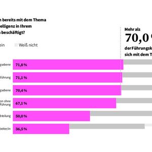 KI ist ein Managementthema. (Bild:  IUBH)