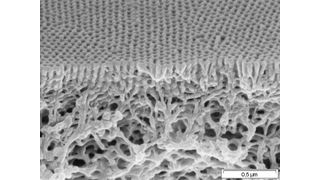Mikroskopische Aufnahme der Doppelmembran  (Bild: GKSS)