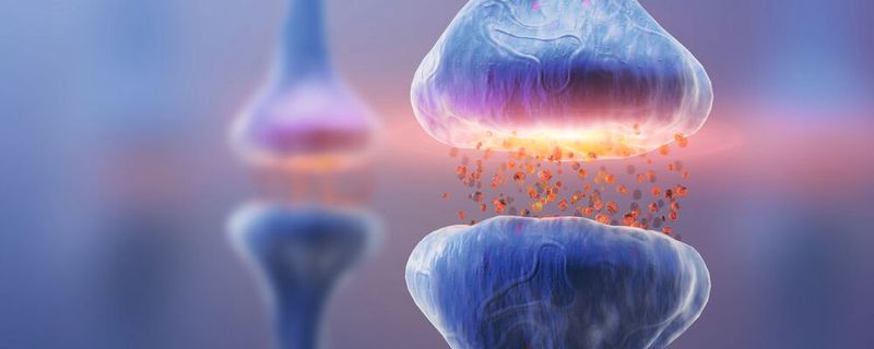 Die effektive Übertragung von Serotonin zwischen Synapsen, scheint einen Einfluss auf die Entwicklung von Depressionen zu haben. (Bild:  katestudio - stock.adobe.com)