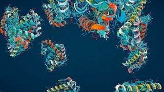 Der Begriff Protein stammt von dem griechischen Wort Proton für „das Erste, das Wichtigste“, da Eiweiß für unseren Körper sehr wichtig ist (© Christoph Burgstedt - stock.adobe.com)