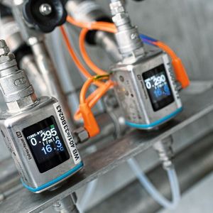 (Endress+Hauser)