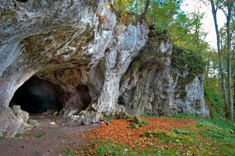 Der Eingang zur Hohlenstein-Stadel Höhle auf der Schwäbischen Alb im Südwesten Deutschlands.  (Wolfgang Adler, Photo Museum Ulm)