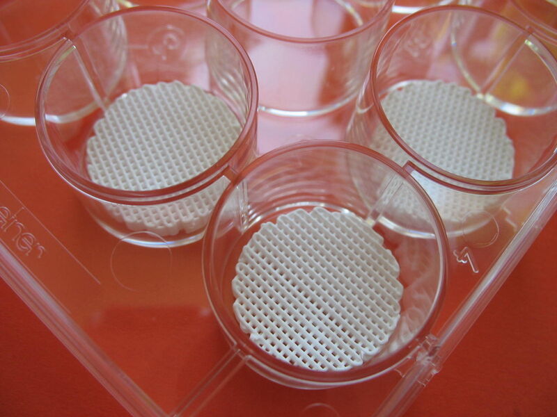 Scaffolds-Einsätze in well plates zur 3D-Zellkultivierung. (Bild: Innotere)
