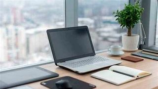 So unscheinbar sie für manche auch sind! Pflanzen im Büro erhöhen das Wohlbefinden und die Leistung. Dass dazu sogar computergeneriertes „Grünzeug“ in der virtuellen Realität (VR) fähig ist, haben jetzt unter anderem Hamburger Forscher herausgefunden. Hier die Ergebnisse ... (Bild: B. Lättermann)