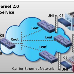 Abbildung 1: EP-Tree-Services bestehen aus einem Ursprungsort, der Wurzel, und mehreren Verzweigungen oder Blättern. Wurzel und Blätter haben jeweils ein UNI (User Network Interface)