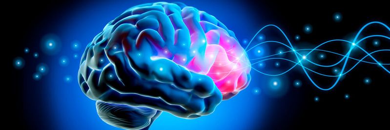 Die Lernmethoden des Deep Learnings funktionieren ähnlich wie das menschliche Gehirn. Der Sicherheitshersteller Deep Instinct nutzt die Technologie für eine eigene Lösung.(Bild:  peterschreiber.media - stock.adobe.com)