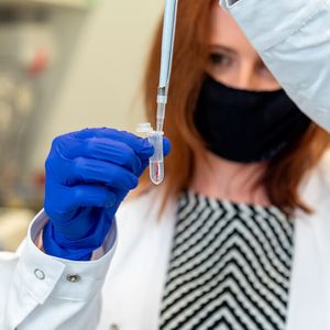 Verdünnen einer Blutprobe(Bild:  Max-Planck-Institut für die Physik des Lichts/Max Kruse)