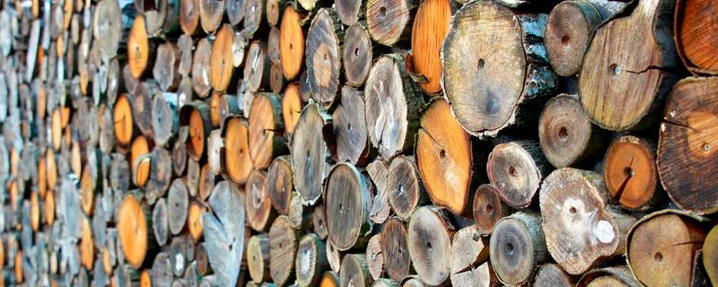 Holz ist ein beliebtes Diebesgut.(Bild:   / CC0)