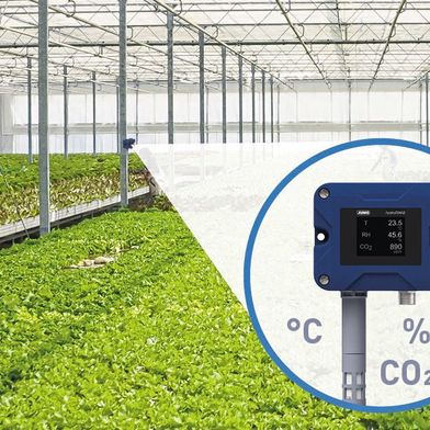 Der SPE-Sensor namens Hydrotrans S20 stammt aus dem Hause Jumo. Er misst Temperatur, Feuchtigkeit- und CO2-Werte direkt bei den Pflanzen. (Bild: Jumo)