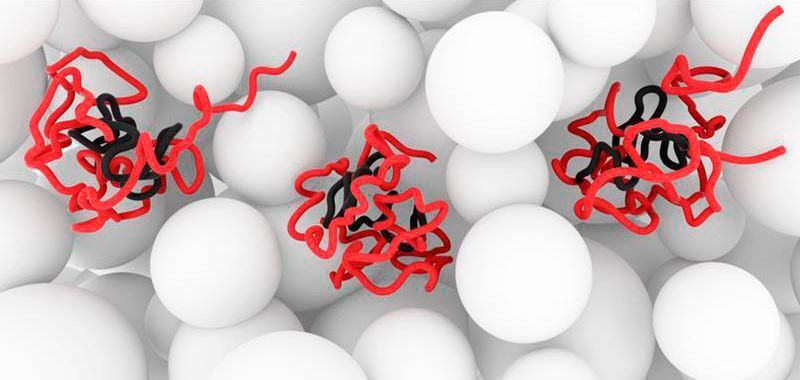 Zustand des Proteins α-Synuclein in lebenden, gesunden Zellen: Die zentrale NAC-Region (grau) ist gut geschützt. Das Protein sorgt dafür, dass es zu keiner Interaktion mit dem Zytoplasma (weiß) und anderen Zell-Komponenten kommt. Bei neurodegenerativen Veränderungen würden die grauen Bereiche zusammenwachsen und Amyloid-Strukturen ausbilden. (Bild: FMP Berlin)