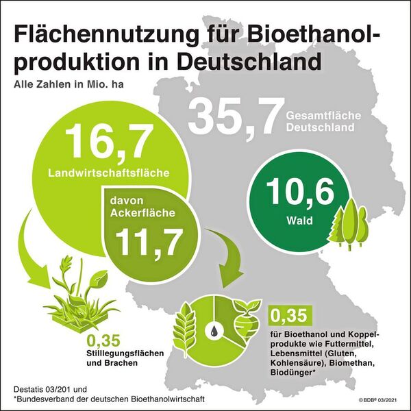 Die bei der Biokraftstoff-Produktion verwendeten Rohstoffe, hierzulande überwiegend Raps, Futtergetreide und Zucker, dürfen seit dem Jahr 2008 nachweisbar nur von Flächen stammen, die bereits zu diesem Zeitpunkt landwirtschaftlich genutzt waren.  (BDBe)
