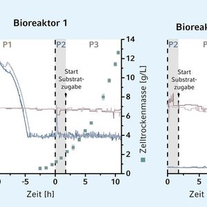 (Eppendorf)