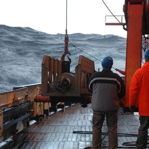 (Bild: Marcelo Arevalo, Alfred-Wegener-Institut)