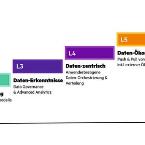 Das HPE Reifegradmodell auf einer Skala von 1 bis 5.(Bild:  HPE)