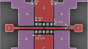 Funktionierendes Qubit-Array mit Abständen zwischen den Plunger- (P) und Barriere- (B) Gates von knapp 6 Nanometern, ermöglicht durch High-NA-EUV-Lithografie. Das Bild zeigt außerdem die Akkumulations- (A) und Einschluss- (C) Gates. (Bild: Imec)