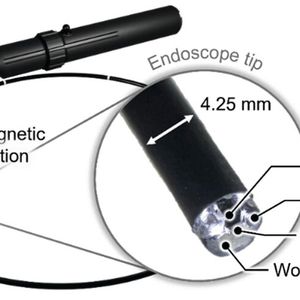 Durch einen magnetischen Kopf ist Endoskop besonders beweglich. (Bild:   Wiley, Advanced Intelligent Systems)