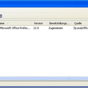 Abbildung 1: Ein Softwareinstallationspaket ist zugewiesen worden
