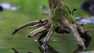 Abb. 1: Steigende gesetzliche Anforderungen erforden es, Pestizide und Arzneimittel in Oberflächengewässern, im Grund- sowie im Trinkwasser sensitiv zu quantifizieren. (© kichigin19 - Fotolia)