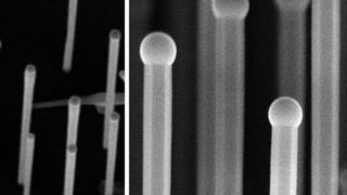 A) Rasterelektronenmikroskop-Aufnahme eines Nanodraht-Feldes. B) Nahaufnahme einiger Nanodrähte. (Ausschnitt)  (Bild: Universität Regensburg)