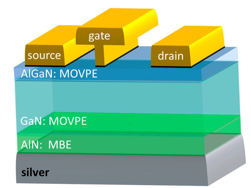 Schema der Transistorstruktur auf dem Silber-Substrat  (Forschungszentrum Jülich)