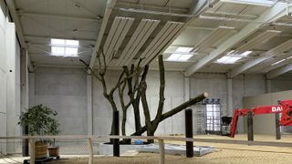 ba-2023-03-03-02-bauphase-1-728x410v1 (Bild: Tierpark Cottbus)