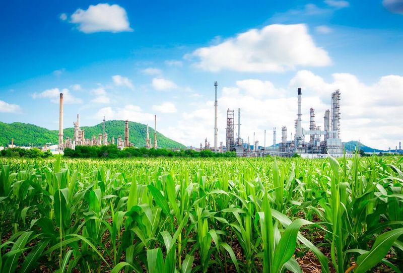 The renewable diesel facility will be focused on 100 % renewable feedstock and will include a pretreatment facility to provide Tidewater significant flexibility on running various renewable feedstocks. (Haldor Topsoe )