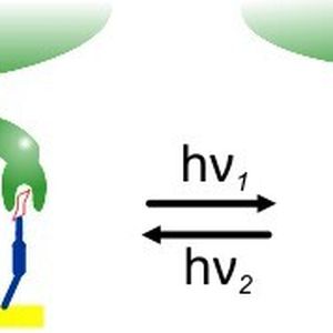 (Bild: Wiley-VCH Verlag GmbH & Co. KGaA. Reproduced with permission.)
