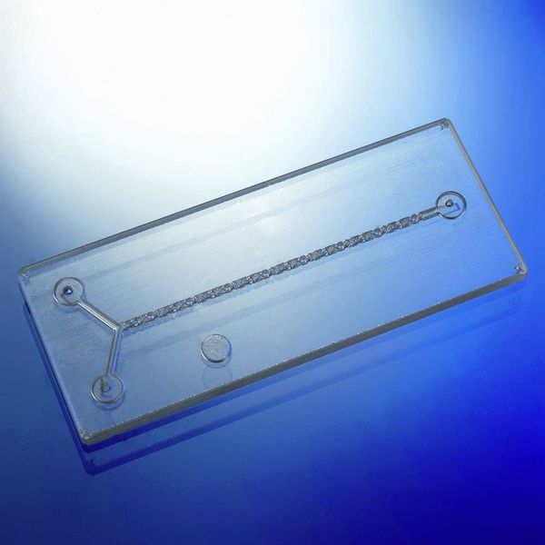 Abb. 3: Mikroreaktor aus Glas der Firma Little Things Factory  (Bild: Fraunhofer ICT)