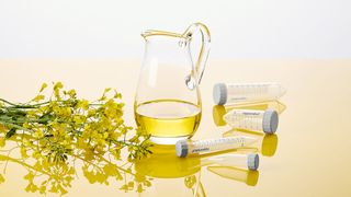Speiseölabfälle und -reste aus der Lebensmittelindustrie dienen als Rohstoff für hochwertiges Bioplastik, aus dem Eppendorf z.B. Tubes herstellt (Bild: Eppendorf SE)