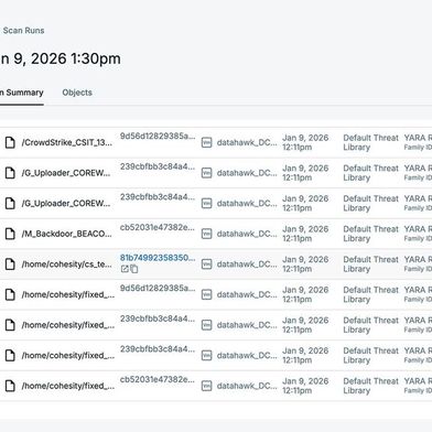 Cohesity Data Cloud: Werden beim Scan verdächtige Dateien gefunden, werden diese mit Kompromittierungsindikatoren angezeigt. (Bild: Cohesity)