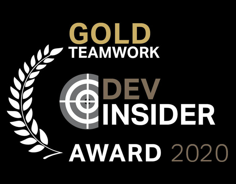 Teamwork – Gold: Microsoft (Vogel IT-Medien)