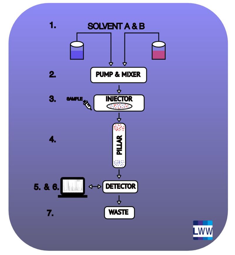The structure of a HPLC. 