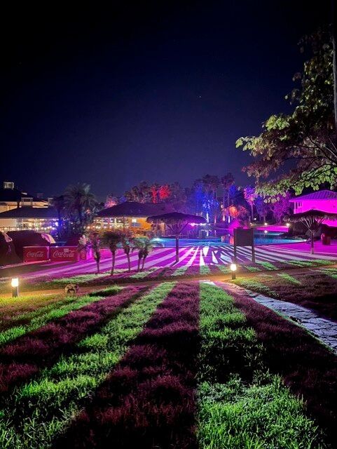 Networking unter Palmen: Abendstimmung vor der Abschlussparty im Hotel Caribe in Port Aventura.(Bild:  Vogel IT-Medien)