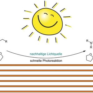 (Inst. f. Organische Chemie, Universität Mainz)