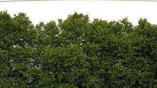 BASF hat heute die Unterzeichnung einer verbindlichen Vereinbarung zum Verkauf ihrer Omega-3-Produktionsanlage bekannt gegeben. (Bild: BASF)