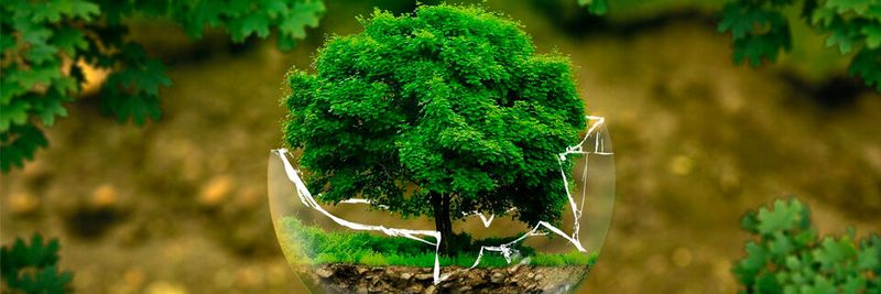 VeChain ermöglicht Unternehmen nachhaltige und umweltfreundliche Prozesse.(Bild:  ejaugsburg /  Pixabay)