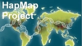 Das HapMap-Projekt soll helfen, den genetischen Anteil der Krankheiten zu erklären. (Archiv: Vogel Business Media)
