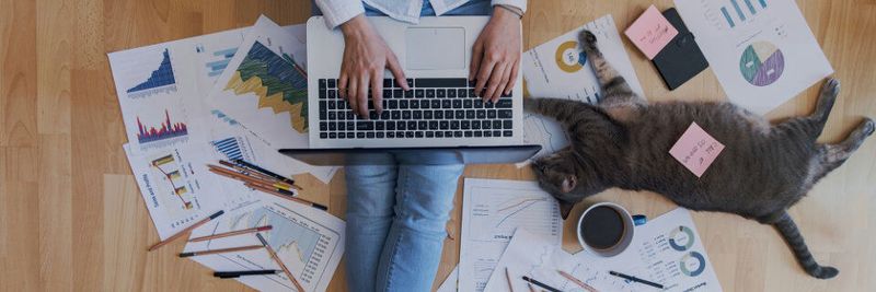 Fürs Home Office gilt: Unternehmen sollten Updates zeitnah einspielen und Cloudlösungen um weitere Schutzfunktionen ergänzen. Fürs Home Office gilt: Unternehmen sollten Updates zeitnah einspielen und Cloudlösungen um weitere Schutzfunktionen ergänzen.