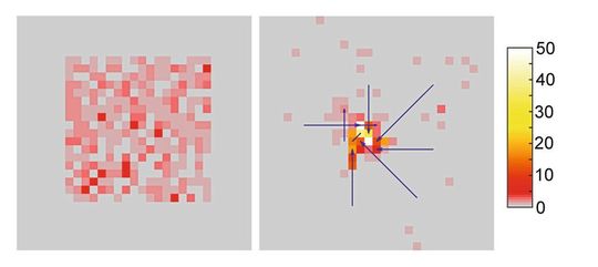 Computersimulation der Polarisombildung. Die zuerst auf der Membran gleichmäßig verteilten Polarisomnanopartikel (rot, linke Hälfte) verdichten sich durch die Ausbildung von Aktinfilamenten und ihre Bewegung auf diesen in eine fokussierte Polarisom-Struktur (rechte Hälfte). Die blauen Linien stellen die Aktinfilamente dar.(Bild:  Dünkler et al., 2021, JCB)