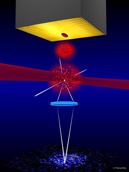 Mit dem Atomchip können die Atome des Kondensates genau kontrolliert werden. (Bild: TU Wien)