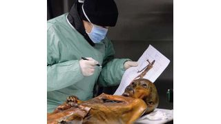 Der "Mann aus dem Eis" gehört zu den bekanntesten und bedeutendsten Mumien der Welt. (Bild: Südtiroler Archäologiemuseum/EURAC/Samadelli/Staschit)