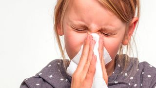 Bestimmte Rhinoviren – also so genannte Schnupfenviren – sind nach Angaben von Forschern der Meduni Wien für bis zu 80 Prozent aller Asthmafälle verantwortlich. Virusbedingtes Asthma ist besonders für Kinder gefährlich. (Markus Wegmann / AdobeStock)