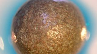 Metallische Hohlkugel mit Pilzenzymen. Die Enzymreaktion (blaue Corona) ist mit einem Farbstoff sichtbar gemacht. (Ausschnitt) (TU Dresden)