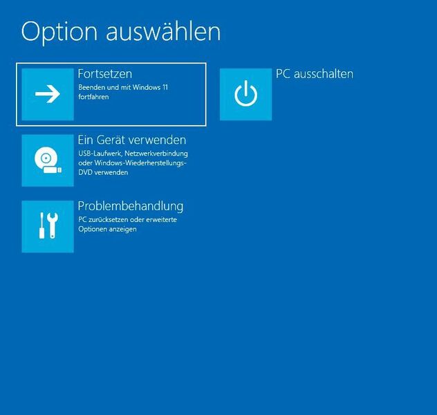 Wiederherstellungsoptionen von Windows 11 nach dem Systemstart. (Microsoft / Joos)