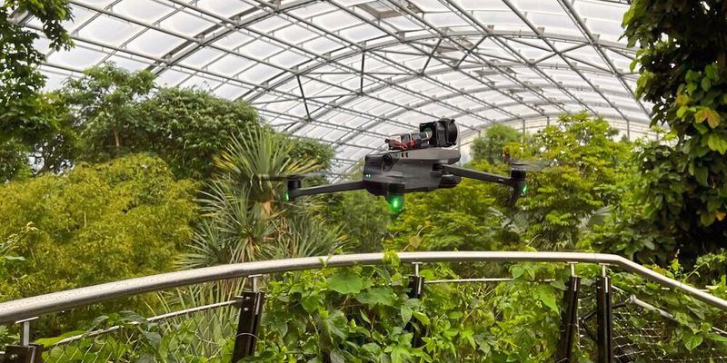 Eine Drohne fliegt durch die Büsche des Masoala-Regenwaldes im Zoo Zürich. (Bild: Dominik Ryser, Zoo Zürich)