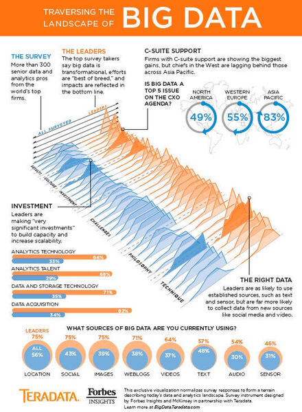 Aus Forbes Insights: eine Infografik zur Big-Data-Landschaft. (Bild: Forbes)