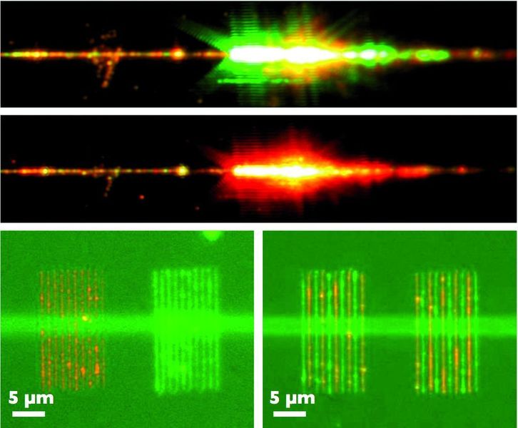 3	 (a, b) Fotos eines Lipid-Gitters senkrecht auf einem Wellenleiter 30° bzw. 45° von der Oberflächennormalen. Das ausgekoppelte Licht stammt von einer Superkontinuum-Laserquelle. (c,d) Gitter geschrieben von zwei Spitzen mit Rhodamin- bzw. Fluoreszin-markierten Lipiden. Der Linienabstand beträgt 2 µm. (Bilder: C. Vannahme, S. Klinkhammer, Lenhert/Brinkmann; aus „Lipid Multilayer Gratings“ (Nature Nanotechnology) [1]) (Archiv: Vogel Business Media)