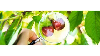 Abb. 1a: Lebensmittelprüflabore müssen aufgrund gestiegener regulatorischer Anforderungen ... (Bild: ©Andrey Popov - stock.adobe.com)