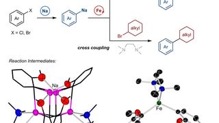 Illustration der chemischen Reaktion, der Kreuzkupplungsreaktion, bei der Natrium als organometallisches Reagenz und Eisen als Katalysator verwendet werden. (Bild: © zvg)