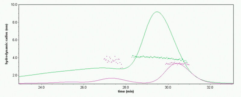 Abb. 3: Der hydrodynamische Radius wurde mithilfe der Dynamischen Lichtstreuung (DLS) für das rekombinante Protein (grün) und BSA (violett) gemessen. (Bild. Wyatt Technology)